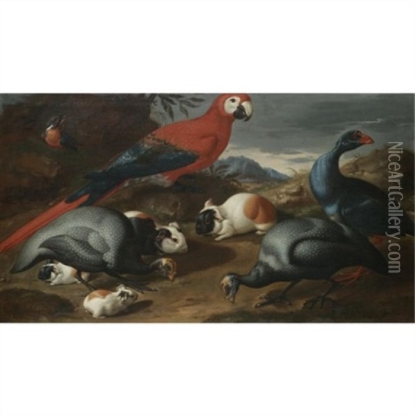 A Still Life With Guinea Pigs, A Parrot And Other Exotic Birds Oil Painting - Jacob van der Kerckhoven