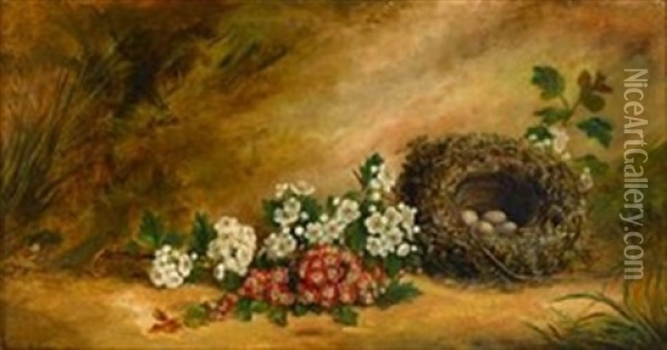 Still Life Of Dogwood And Bird's Nest Oil Painting - George Cruikshank
