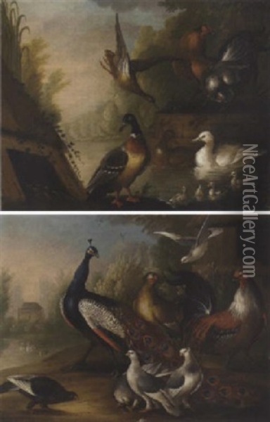 Ducks And Chickens By A River Oil Painting - Marmaduke Cradock
