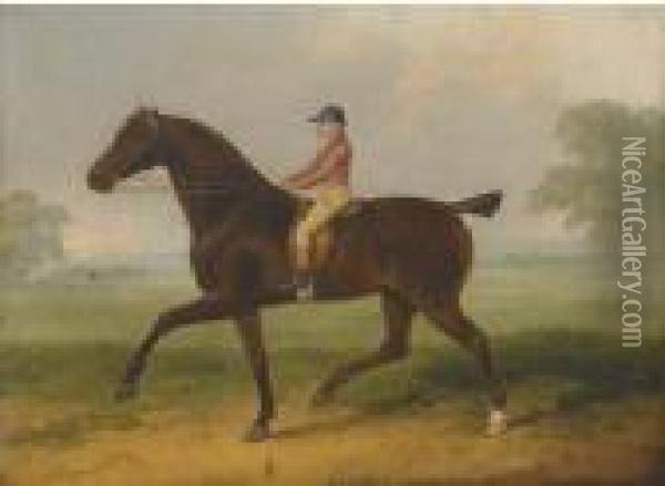 A Racehorse With Jockey Up Oil Painting - John Nost Sartorius