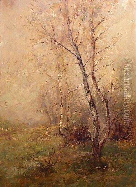 Silver Birches Oil Painting - Ernst Walbourn