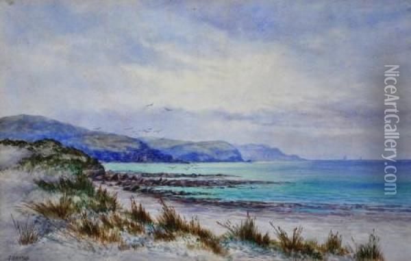 Along The Coast, Fleurieu Oil Painting - James Ashton