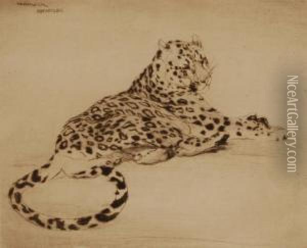 Restingleopard Oil Painting - Warwick Reynolds