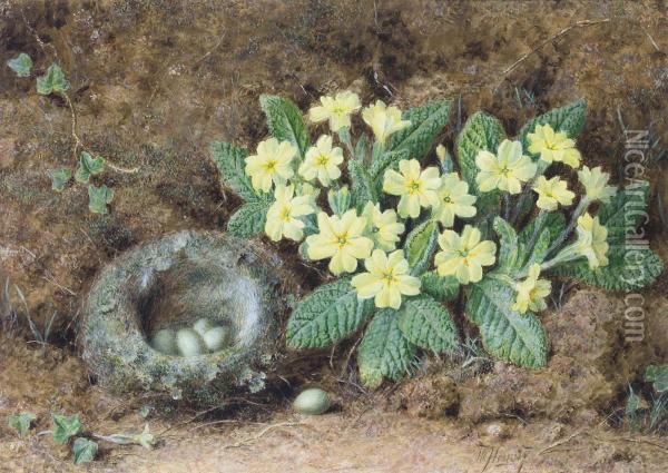 Still Life Of A Bird's Nest And Primroses On A Mossy Bank Oil Painting - William Hough