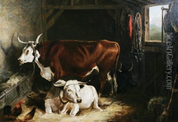 Cattle In An Interior Oil Painting - William Henry Davis