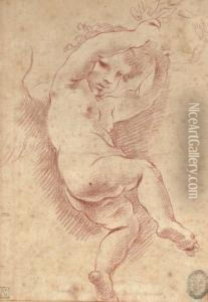 A Flying Putto Holding A Crown Of Laurel Oil Painting - Carlo Cignani