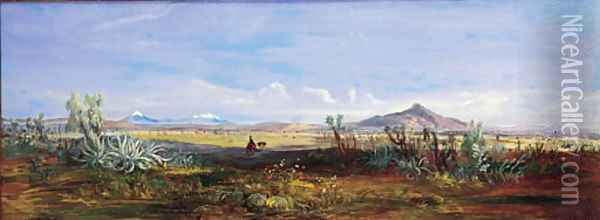 Los volcanos vistos desde Puebla Oil Painting - Johann Moritz Rugendas
