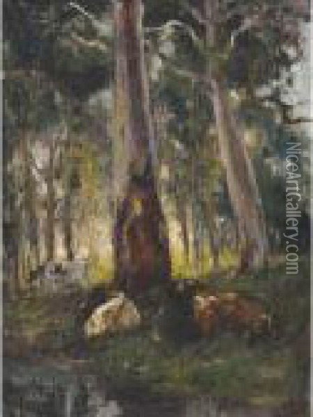 Cows Resting Under Gums Oil Painting - Walter Withers