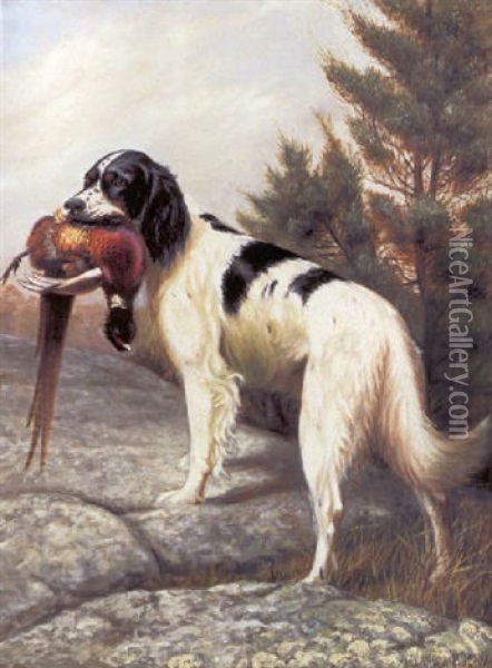 English Setter With Pheasant Oil Painting - Alexander Pope