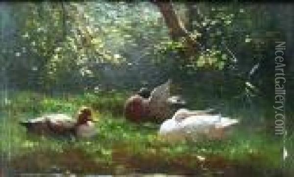 Ducks Seated On A Grassy Bank Oil Painting - David Adolf Constant Artz