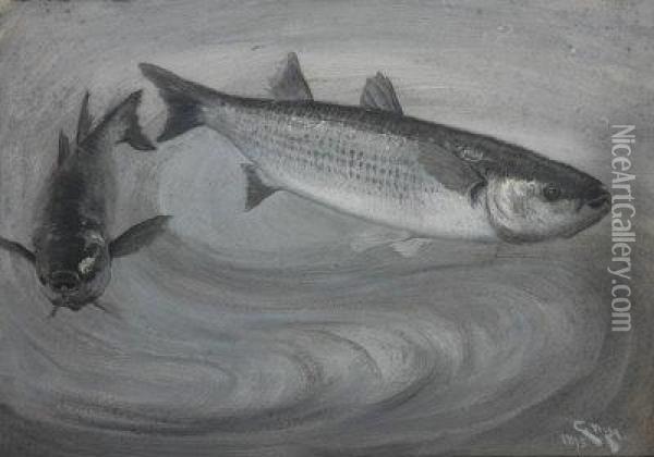 Two Grey Mullet, Swimming. Oil Painting - Charles Napier Hemy