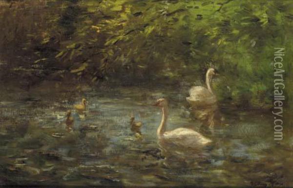 Swans And Their Young On A Pond Oil Painting - Willem Maris