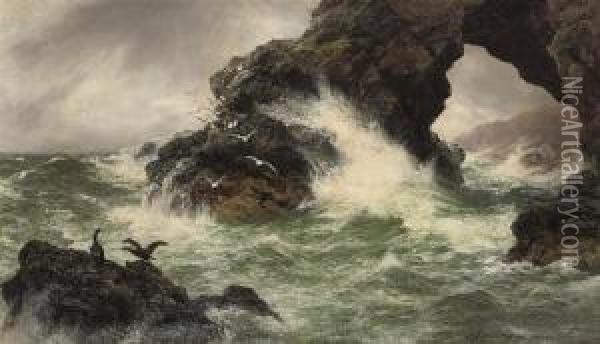 Sea Worn Rocks Oil Painting - Peter Graham
