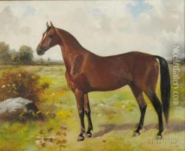 Portrait Of A Horse. Oil Painting - Scott Leighton