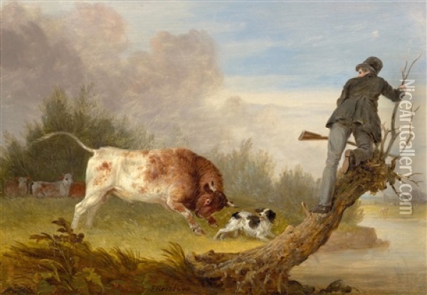 A Hunter Fleeing A Raging Bull Oil Painting - Edmund Bristow
