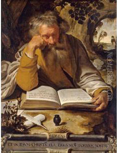 Saint Andrew Oil Painting - Artus Wollfort