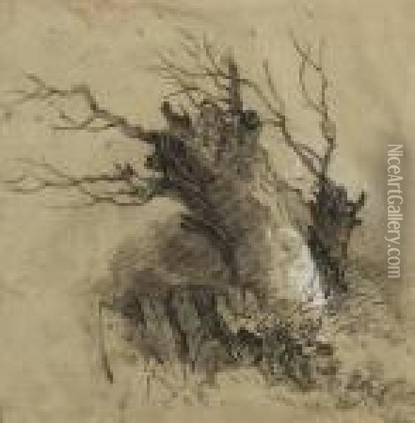 An Old Tree Trunk Oil Painting - Henry Bright