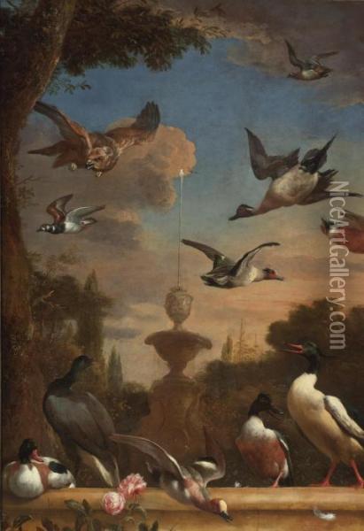 A Classical Garden Landscape 
With A Mallard, A Golden Eagle And Other Wild Fowl In Flight Oil Painting - Melchior de Hondecoeter