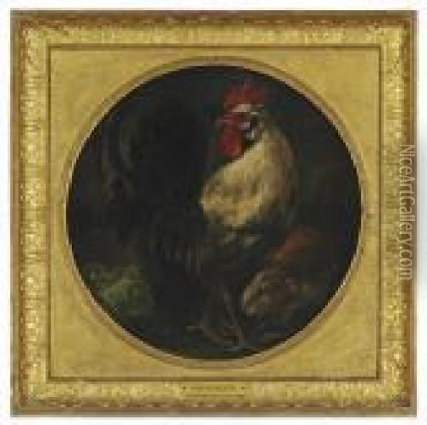 A Cockerel And A Guinea Pig Oil Painting - Melchior de Hondecoeter