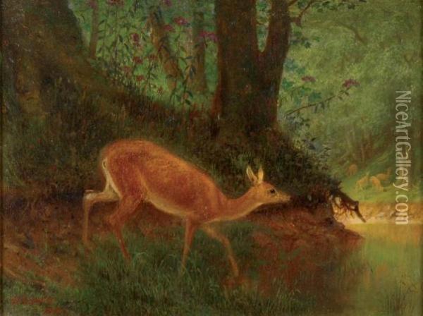 Deer In Forest Oil Painting - William Holbrook Beard