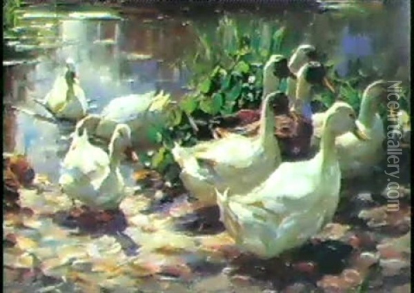 Ducks On Their Way Home Oil Painting - Alexander Max Koester