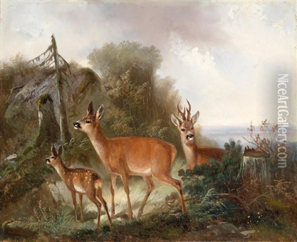 Red Deer In A Woodland Clearing Oil Painting - Carl Friedrich Ockert