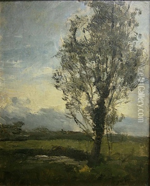 Zicht Op Het Platteland Oil Painting - Prosper Joseph Pierre de Wit