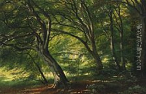 Forest Scenery, Ordrup Krat Oil Painting - Carl Frederik Peder Aagaard