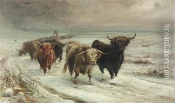 A Highland Cattle Drove In Snow Oil Painting - Joseph Denovan Adam