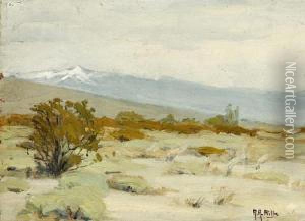 Desert Landscape With A Snow-capped Mountain Oil Painting - Anna Althea Hills
