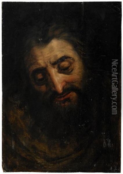 Head Of A Bearded Man Oil Painting - Frans Floris the Elder