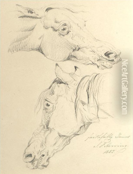 Studies Of A Horse's Head Oil Painting - James Herring