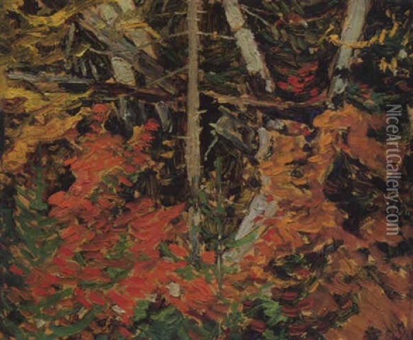 Tangled Woods, Algoma Oil Painting - James Edward Hervey MacDonald