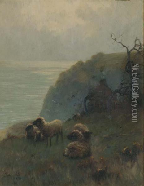 Sheep Beside A Cliff, Over Looking The Sea Oil Painting - Sidney Pike