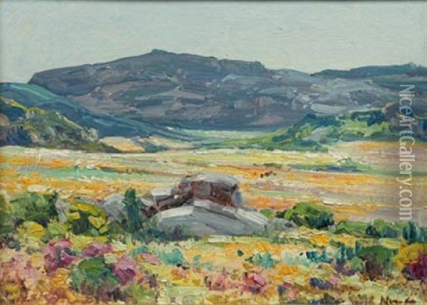 Namaqualand Landscape Oil Painting - Pieter Hugo Naude