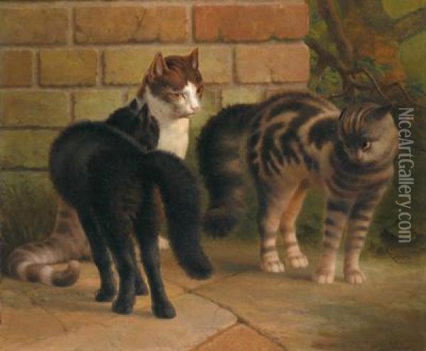 Katzen Oil Painting - Percy Earl