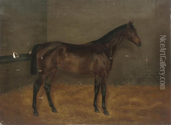 Dunlop, When A Yearling Oil Painting - Isaac Cullin
