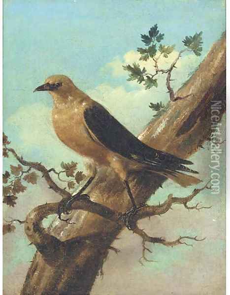 Bird On A Branch Oil Painting - Joham Matthias Wourzer