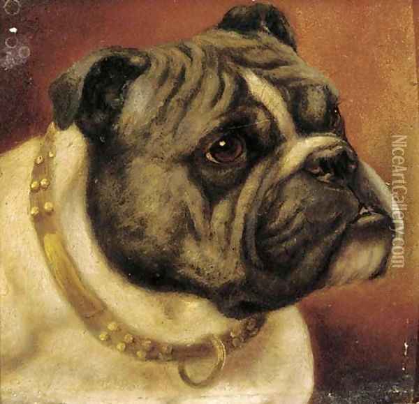 Barney, a bulldog Oil Painting - English School