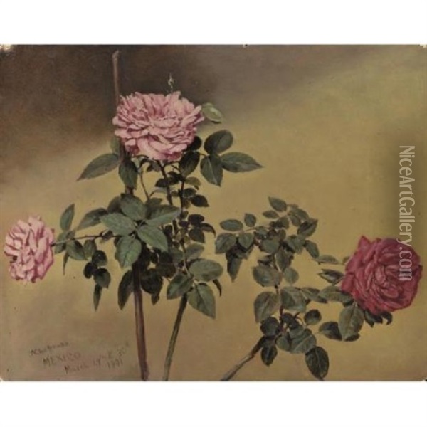 Study Of Roses Oil Painting - Conrad Wise Chapman