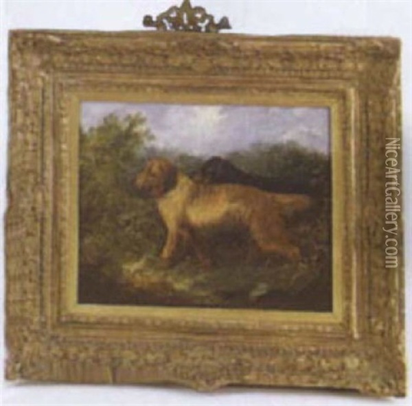 Portrait Of Two Setters Oil Painting - George Armfield
