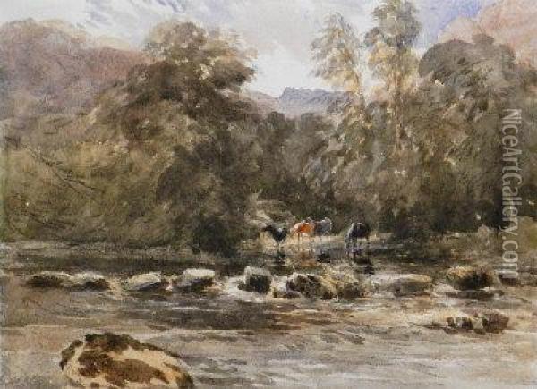 Cattle Watering In A Wooded River Landscape Oil Painting - David I Cox