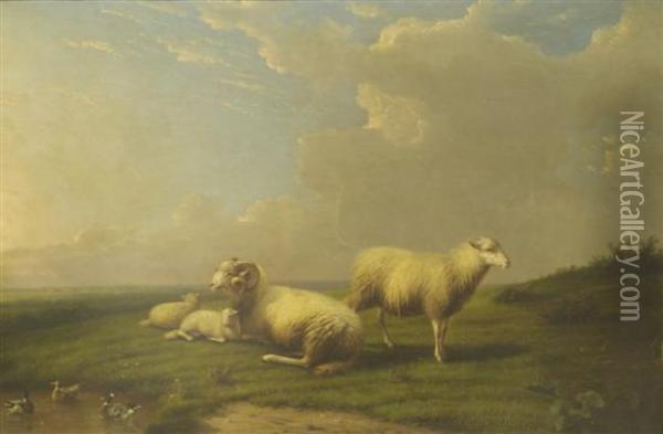 Sheep In Meadow Oil Painting - Franz van Severdonck