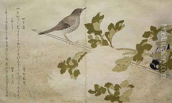 Manchurian Great Tit and a Robin, from an album Birds compared in Humorous Songs, 1791 Oil Painting - Kitagawa Utamaro