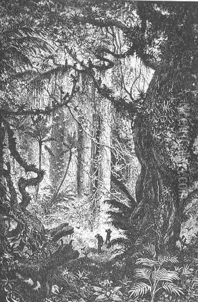 Jungle in the Esmeraldas, Equador, page 121 from To Equador, engraved by Charles Barbant, 1881 Oil Painting - Edouard Riou