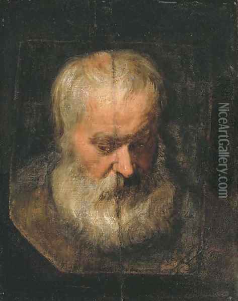 A head study of a bearded man Oil Painting - Sir Anthony Van Dyck