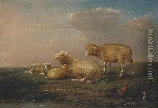Sheep And Chickens In A Landscape Oil Painting - Francois Vandeverdonck