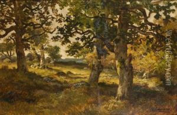 Foret De Fontainebleau Oil Painting - Charles Ferdinand Ceramano