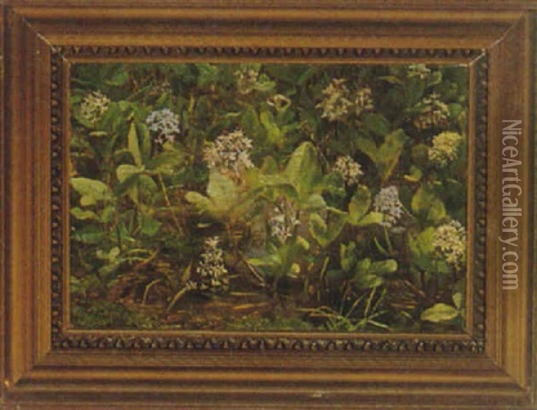 Blomstrende Vandplanter Oil Painting - Anthonie Eleonore (Anthonore) Christensen