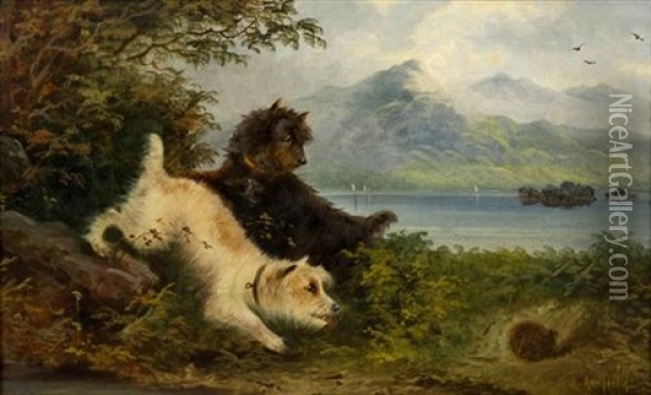 Terriers Frolicking By A Lake Oil Painting - Edward Armfield